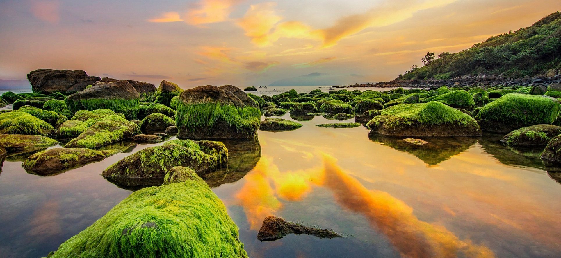 Nam O Fishing and Fish Sauce Village near Da Nang